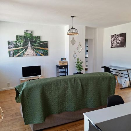 Apartament Le Belvedere Vue Pyrenees, Familiale, Centre Tarbes Zewnętrze zdjęcie