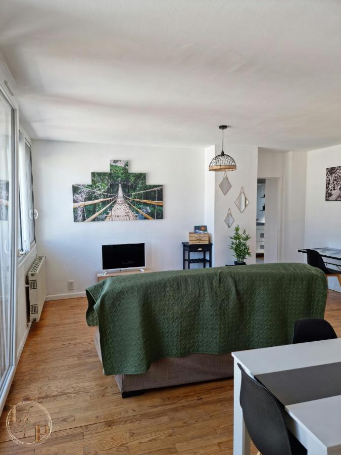 Apartament Le Belvedere Vue Pyrenees, Familiale, Centre Tarbes Zewnętrze zdjęcie